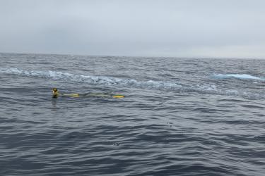 A yellow autonomous underwater glider floats on the ocean surface. Several chunks of ice float behind and next to the glider. The water is dark grey and the sky is cloudy.