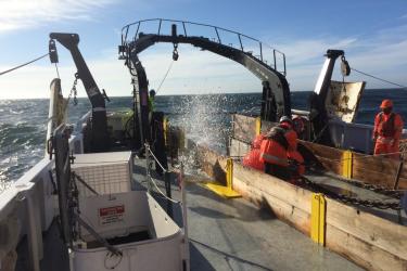 Fishers working on a vessel at sea
