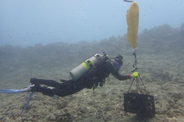 A diver uses a lift bag to transport loose rubble. 