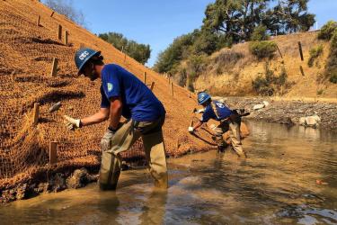 Workers standing in a shallow stream working on a slope restoration 