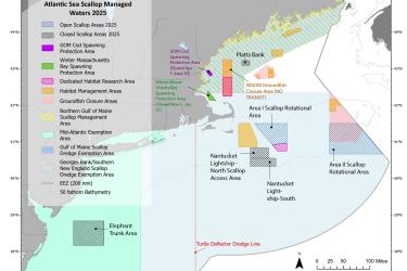 Scallop areas 2025
