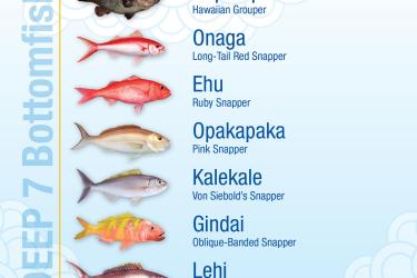 Bottomfish chart