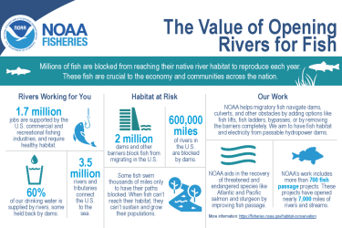 1FishPassage_Infographic.png