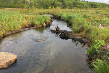 2017_0523_channel_at_former_reservoir_IMG_7207_cr_LivingObservatory (1).jpg