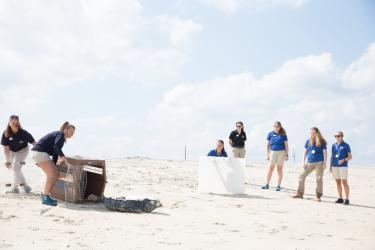 A group of women wearing blue polos and khakis stand on a beach. Two women are releasing a seal from a cage; the others are standing to the side ready to guide the seal toward the water.