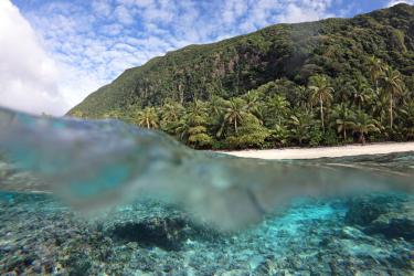 Split underwater/overwater shot with reef below and green mountains with a sandy beach and palms trees above. 