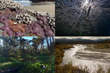 2019 Habitat Month Photo Contest - Public Winners.jpg