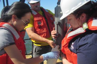Yuan Liu collecting water samples with colleagues