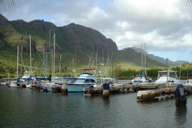 Fishing vessels in a Kaua'i harbor with mountains in the background. 