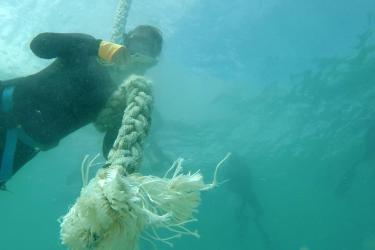 A diver cuts through a thick rope underwater. 
