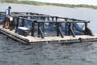 3648x2736-aquaculture-GARFO.JPG