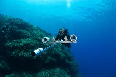 A diver swims along a reef ledge with large camera equipment. 
