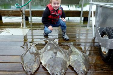 3999x3200-kiddo-halibut-sf.jpg