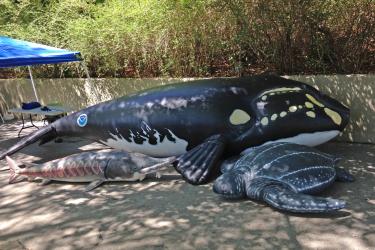 3 inflatables.jpg