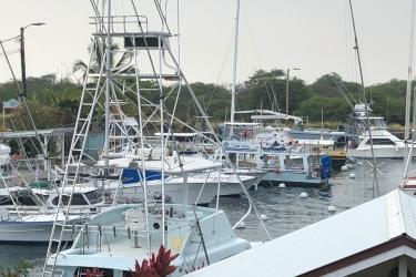 Harbor full of charter fishing boats. 