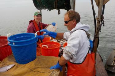 Captain of fishing vessel and observer working together. 