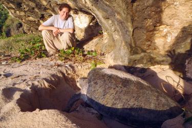 A woman sits next to a large nesting sea turtle on the beach. 
