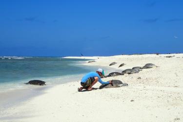 4608x2592-Researcher on East Island, Northwest Hawaiian Islands.jpg