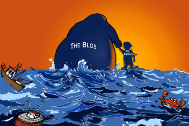 612x416-Blob-SWFSC.png