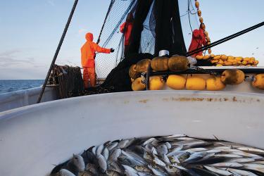 750x500-fishermen-nets-boat-iStock.jpg