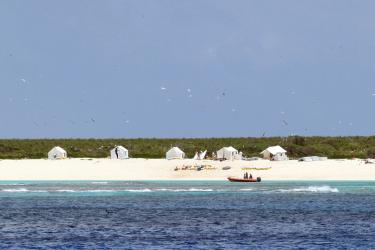 Field camp tents on the shoreline at Laysan island, a small dingy in the water. 
