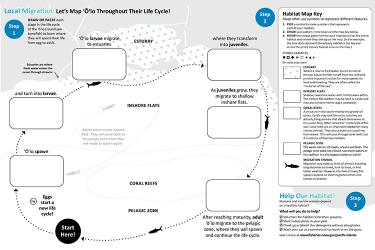 750x500-oio-habitat-and-life-cycle-activity-part-2-of-2-NOAA-PIRO.jpg
