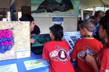 A biologist explains sea turtle nesting, habitat, and safe viewing information to young students at a table with pictures and diagrams.