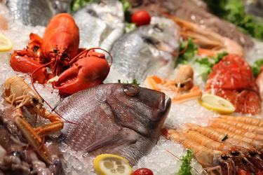 Seafood on ice
