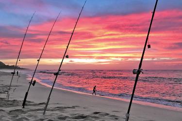 Four fishing poles are positioned upright in the sand of a beach with a person silhouetted on the beach in the center as the sun sets casting a pink, purple, orange and yellow sunset across the sky and reflected on the ocean waves.