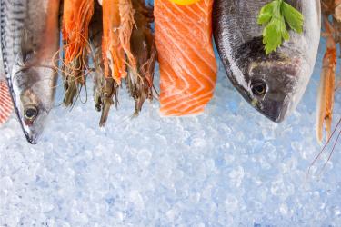 750x500-shutterstock-421478749-cropped1.jpg