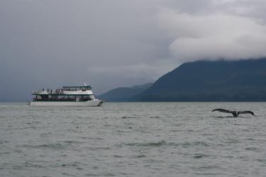 750x500 Whale Watching Juneau.jpg