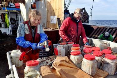AFSC_CrabSurvey (1).jpg