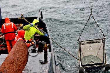 People working on boat in orange and yellow suits. Person in yellow has a stick that is poking a net 