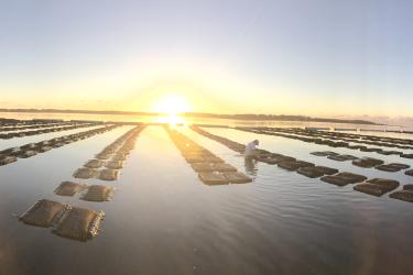 aquaculture_week_feature.jpg