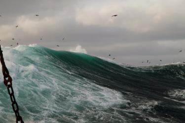 Blog_Free-Time-is-Dream-Time_sea-swell.jpg