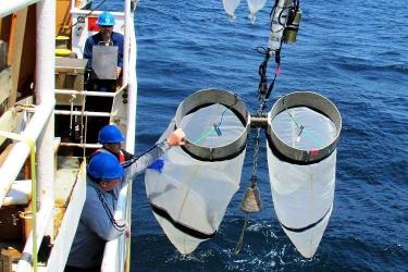 Two men in blue hardhats deploying the Bongo Nets (large nets with metal openings).
