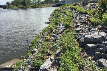 Buffalo River Old Bailey Woods Shoreline stabilization .jpg