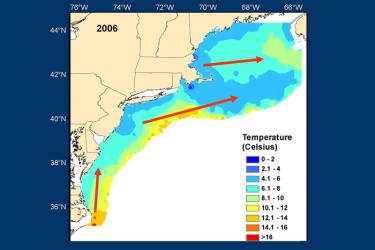Temperature map of the ocean in the Northeast Atlantic