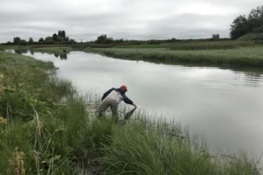 Collecting eDNA in the Skagit River