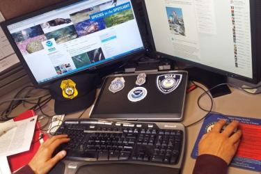 computer-screens-social-media-OLE.jpg