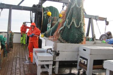 deckhands-NOAA-NWFSC-WCGBT.jpg