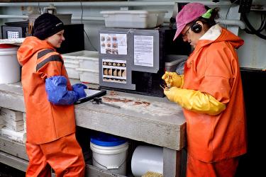 Two scientists in orange suits looking at samples of marine life