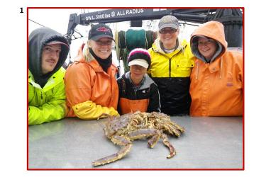 Scientists in orange and yellow coats surrounding a table with two crabs