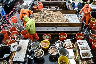 Scientists working on deck of research vessel
