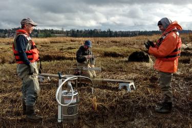 Fish Migration Vet Corps Barney Boyer WA_750x500.jpg
