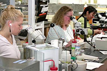 Scientists working with microscopes and other equipment 