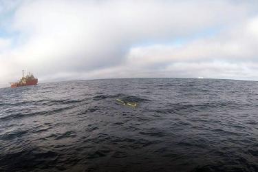 glider_at_sea.jpg