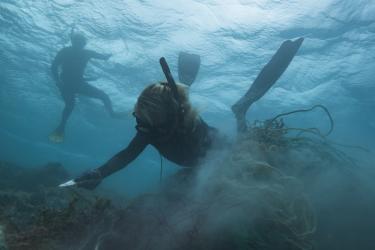 Two snorkelers wrestle with derelict fishing gear in murky water. 