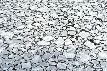 ice-thumb.jpg