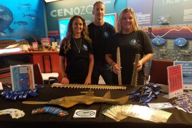 International Sawfish Day 2017.jpg